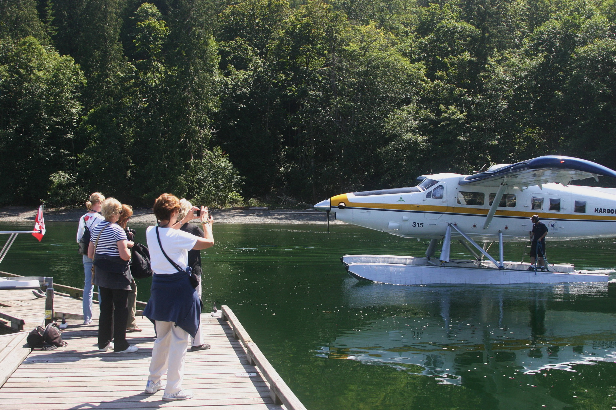 best bear watching tours whistler